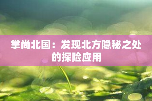 掌尚北国：发现北方隐秘之处的探险应用