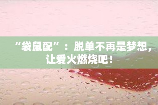 “袋鼠配”：脱单不再是梦想，让爱火燃烧吧！