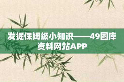 发掘保姆级小知识——49图库资料网站APP