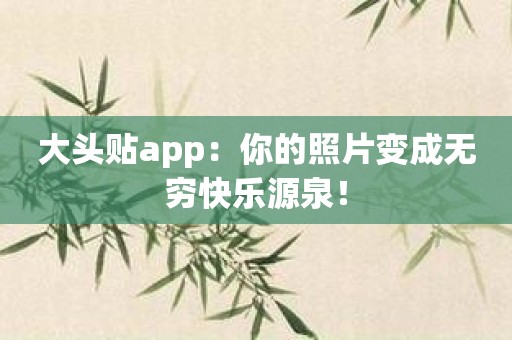 大头贴app：你的照片变成无穷快乐源泉！