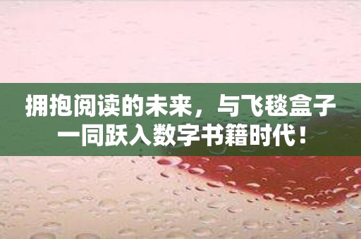 拥抱阅读的未来，与飞毯盒子一同跃入数字书籍时代！