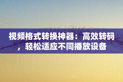 视频格式转换神器：高效转码，轻松适应不同播放设备