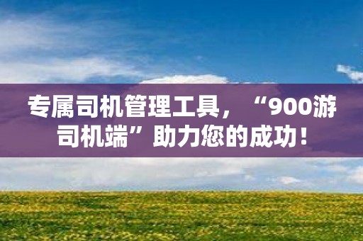 专属司机管理工具，“900游司机端”助力您的成功！