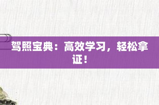 驾照宝典：高效学习，轻松拿证！