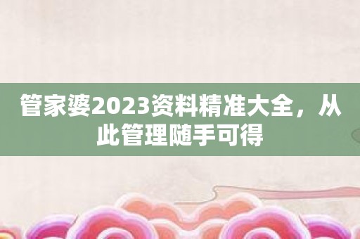 管家婆2023资料精准大全，从此管理随手可得