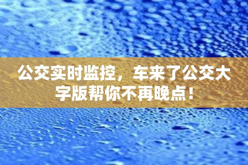 公交实时监控，车来了公交大字版帮你不再晚点！