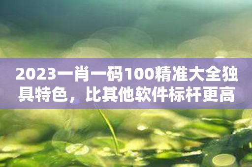 2023一肖一码100精准大全独具特色，比其他软件标杆更高