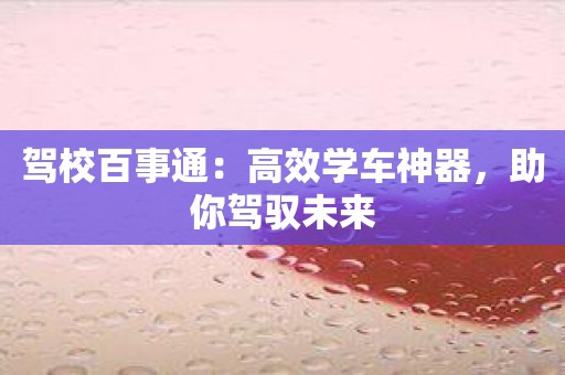 驾校百事通：高效学车神器，助你驾驭未来