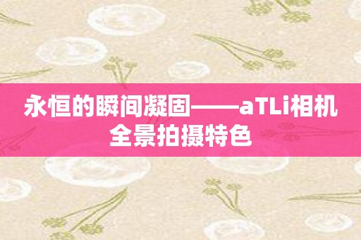 永恒的瞬间凝固——aTLi相机全景拍摄特色