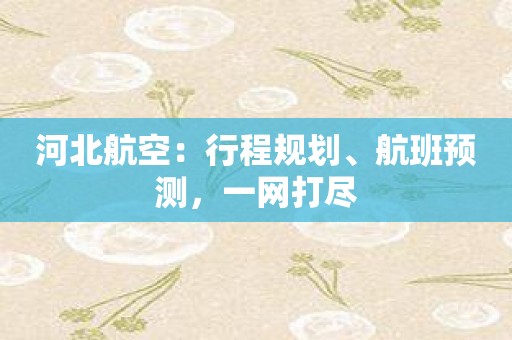 河北航空：行程规划、航班预测，一网打尽