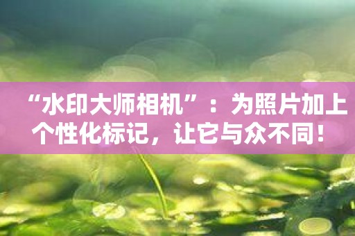 “水印大师相机”：为照片加上个性化标记，让它与众不同！