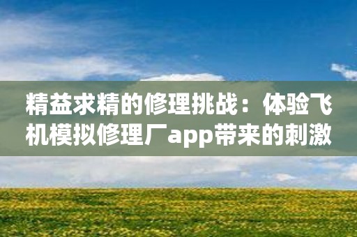 精益求精的修理挑战：体验飞机模拟修理厂app带来的刺激修理任务