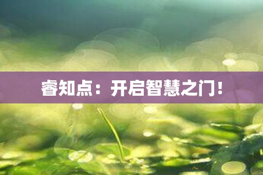 睿知点：开启智慧之门！