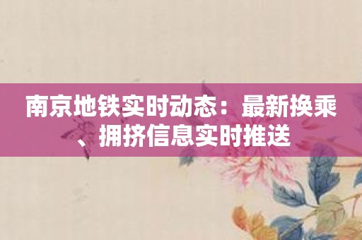 南京地铁实时动态：最新换乘、拥挤信息实时推送