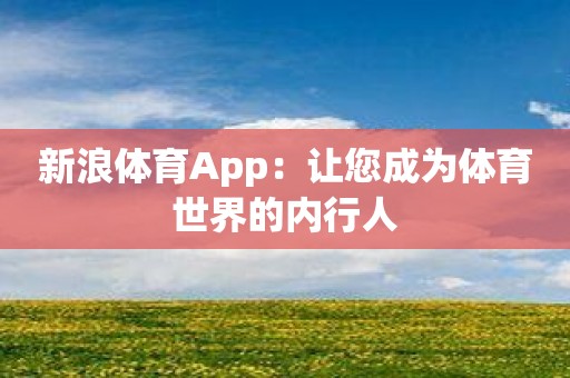 新浪体育App：让您成为体育世界的内行人