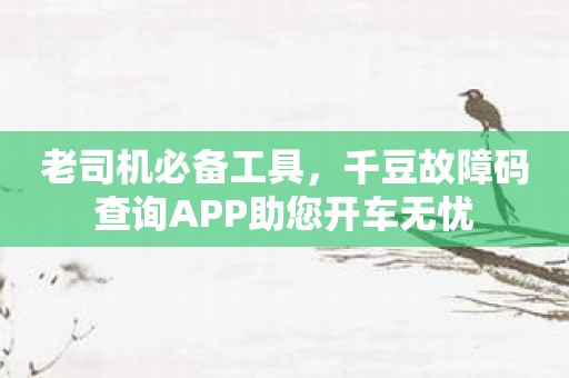 老司机必备工具，千豆故障码查询APP助您开车无忧