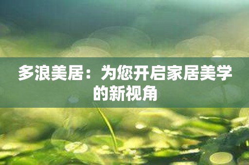 多浪美居：为您开启家居美学的新视角