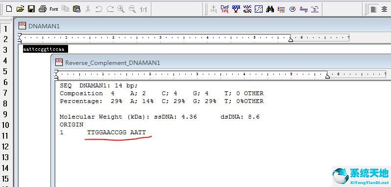 dna反向复制(dna反向连接图示)