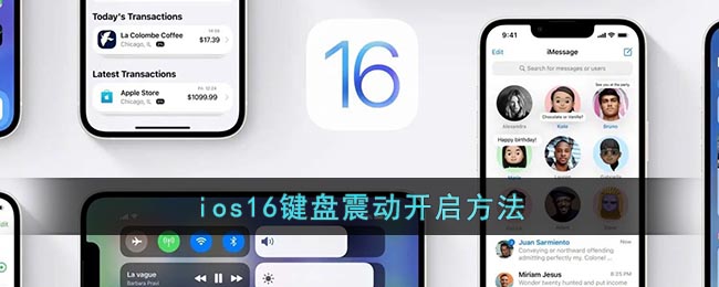 ios16键盘震动开启方法(ios14.2键盘震动)