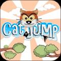 cat jump