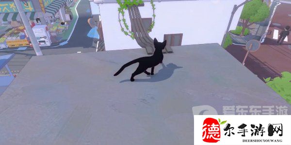 小猫咪大城市偷走园丁的午餐任务怎么完成